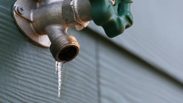 Best Affordable Plumber Near Me  in Three Lakes, FL